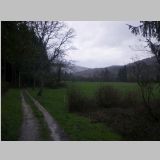 IMGP2257-r.jpg
