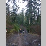 IMGP2262-r.jpg