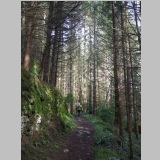 IMGP2267-r.jpg