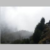 IMGP2288-r.jpg