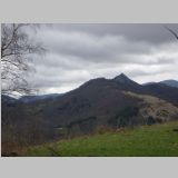IMGP2296-r.jpg