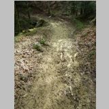 IMGP2297-r.jpg