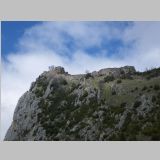 IMGP2304-r.jpg