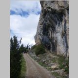 IMGP2306-r.jpg