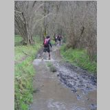 IMGP2316-r.jpg