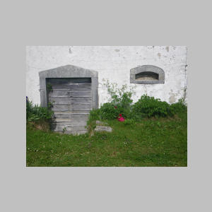 IMGP7996.jpg